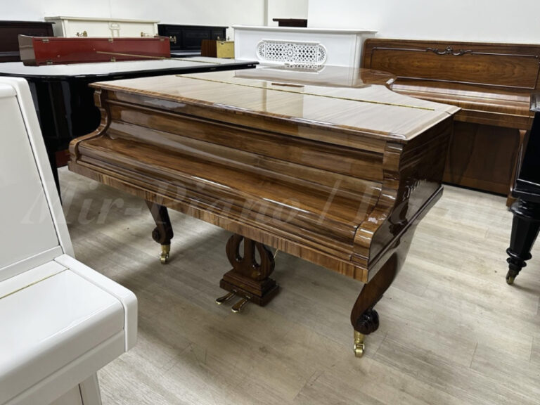 Салонный рояль C. Bechstein. Магазин Пианино-Рояли напротив московской консерватории.