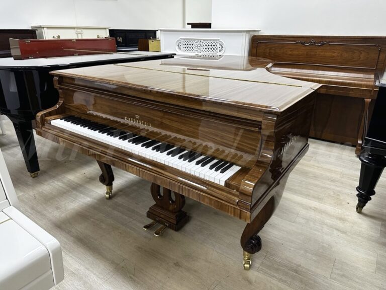 Салонный рояль C. Bechstein. Магазин Пианино-Рояли напротив московской консерватории.