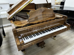 Салонный рояль C. Bechstein. Магазин Пианино-Рояли напротив московской консерватории.