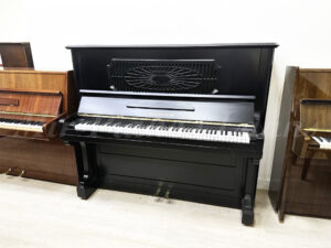 Пианино С. Bechstein. Магазин Пианино-Рояли напротив московской консерватории.